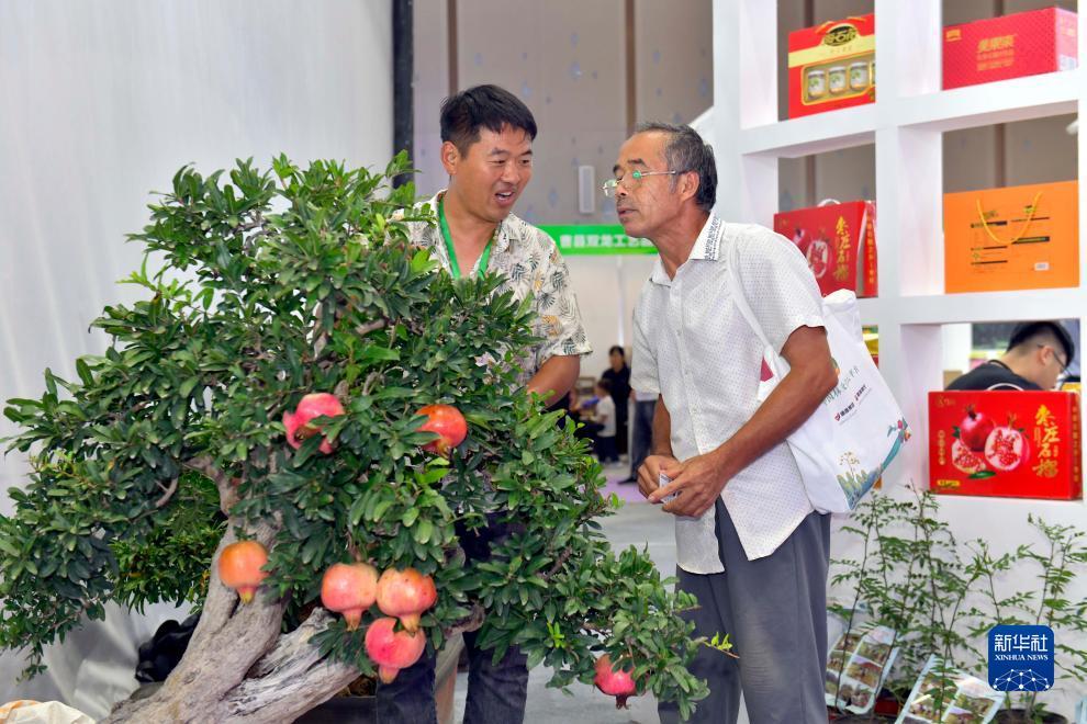 澳门威斯人7919.cc